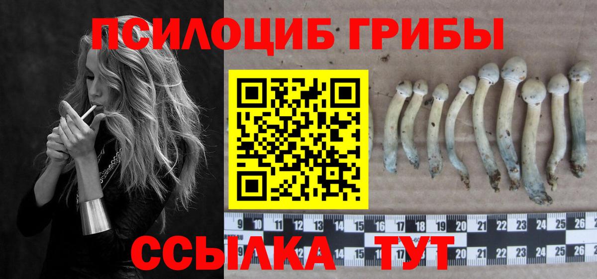 Балтийск  Псилоцибиновые грибы Psilocybe  Вход с VPN 